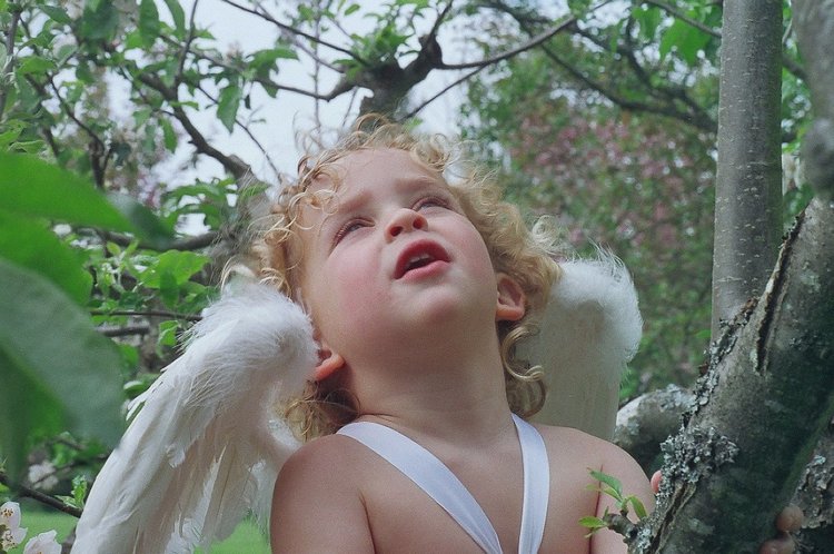 Процесс создания фарфоровых кукол - Джинн Гросс (Jeanne Gross). Часть первая - младенцы