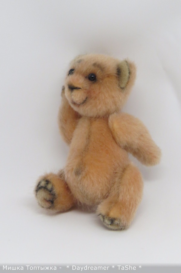 Позитивный мишка по имени Топтыжка (фото 8)