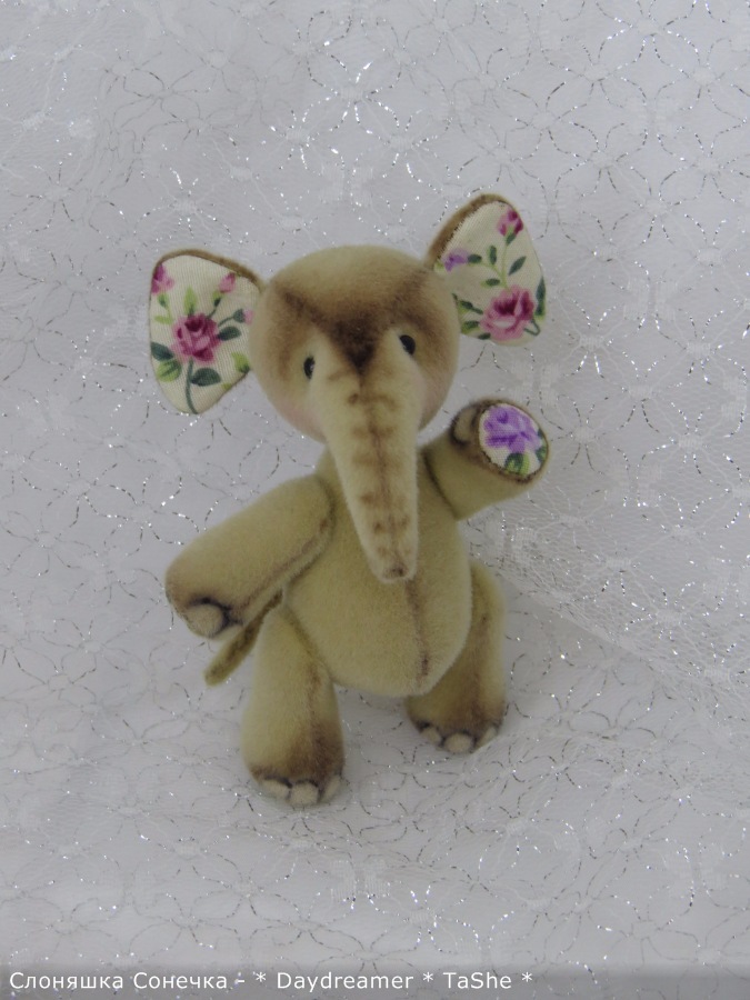 И теперь уже второй слоненок... и снова девочка (фото 6)