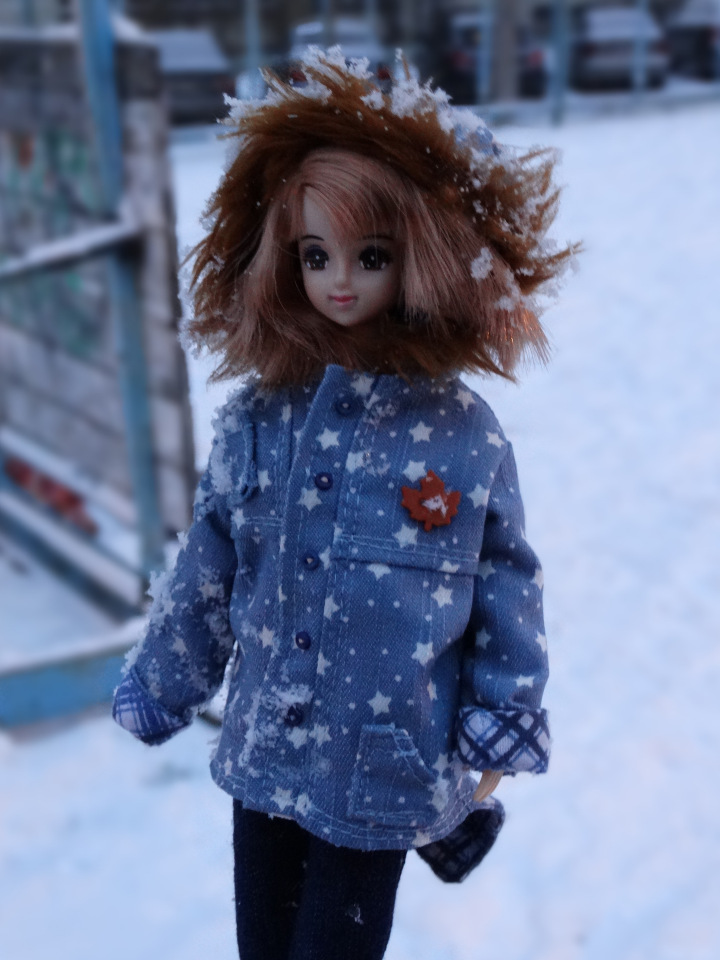 Эти славные куколки Дженни (фото 9)