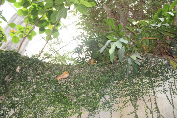 По Германии: зоопарк Лейпцига, часть 2