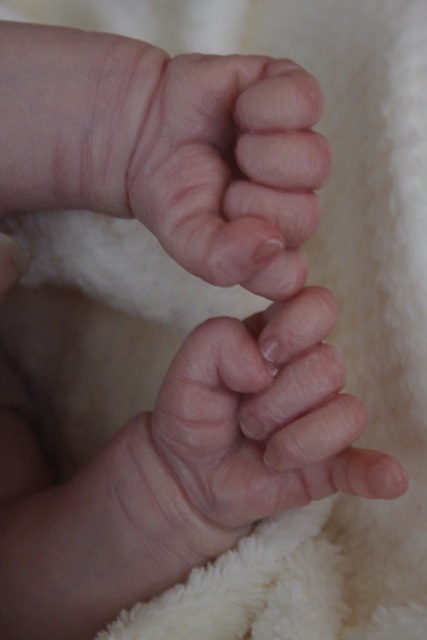 Моя прелесть кукла реборн Элины Кудрявцевой