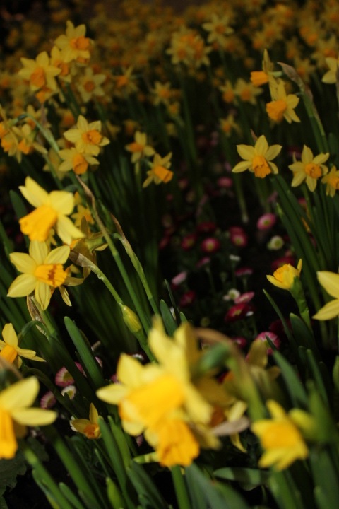 По Германии: весна в Лейпциге