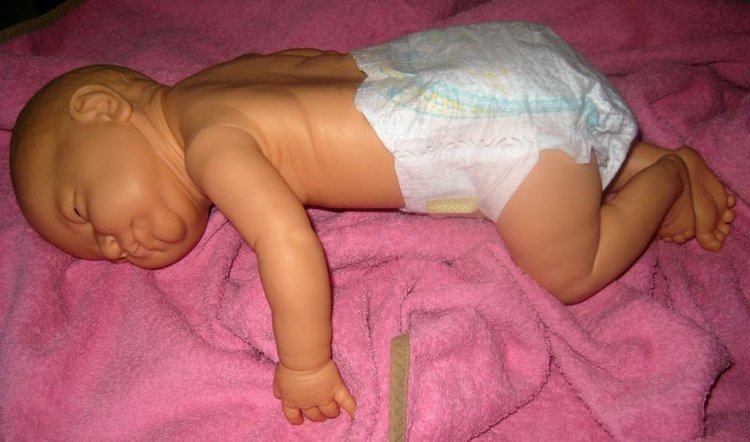 Малышка Berjusa, Berenguer