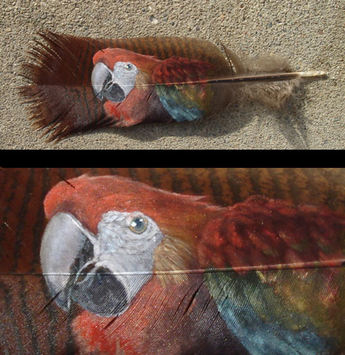 Необычная живопись. Рисунки на перьях - by Julie Thompson (Джулия Томпсон) (фото 2)