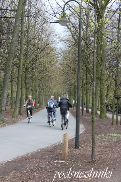 Выставка TeddyBar Total 2012 в Мюнстере: возрожденная из небытия