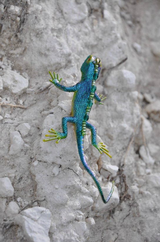 Орестиада - хозяйка Белой горы