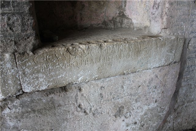 Путешествие по древнему римскому городу Помпеи и вулкану Везувий (фото 7)