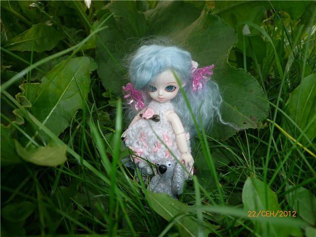 Сосенка Пин. Уютное гнездышко (фото 5)