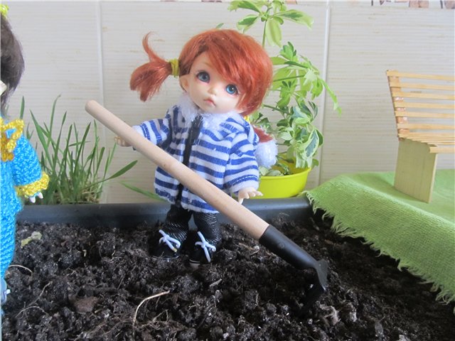 "Мастер-класс" по посадке огорода