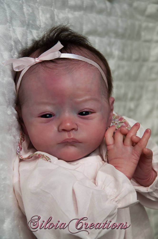 Новый молд Will от Натали Шолль