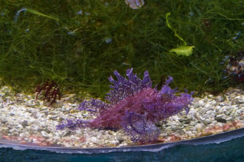 Воронежский океанариум — Туризм и путешествия: фотоотчеты из поездок