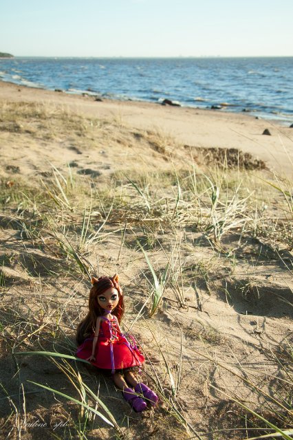 Сказочная волчица. Кукла Монстер Хай (фото 3)