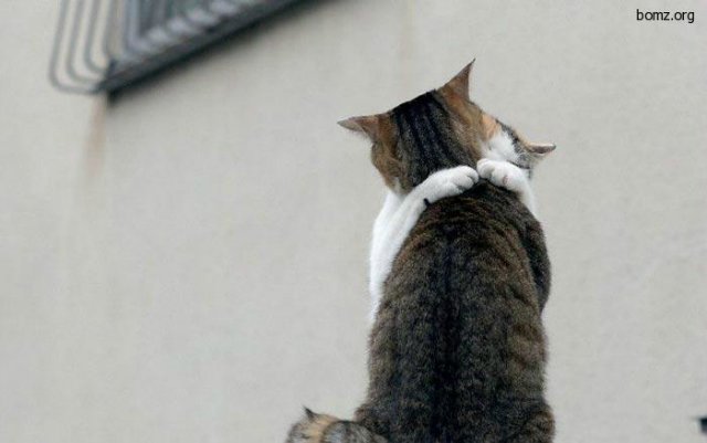 Весна.... как много в этом слове (фото 10)