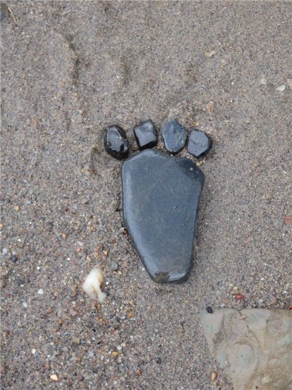 Лесная сказка или Варварка на Нугуше (фото 2)