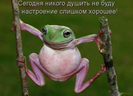 Море позитива) Для поднятия настроения (осторожно! много фото)))) | Бэйбики Море позитива) Для поднятия настроения (осторожно! много фото))))