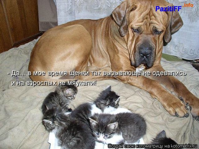 Понедельник - день тяжёлый | Бэйбики Понедельник - день тяжёлый