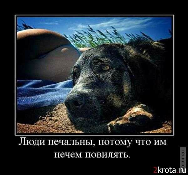 Понедельник - день тяжёлый | Бэйбики Понедельник - день тяжёлый