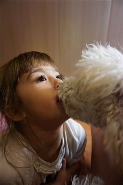 А мы играем в куклы — Куклы Barbie (Барби): Looks (фото 10)