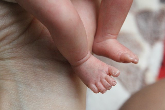 Зая, мини реборн Элины Кудрявцевой (фото 7)