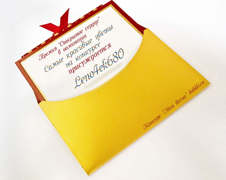 Приглашаем на церемонию награждения премией "Открытое сердце" по конкурсу "Моя весна"