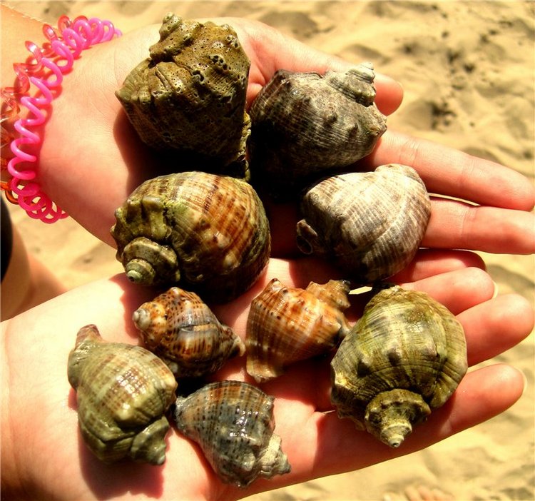 Лето. Солнце. Море. Где побывали! Что повидали! Часть 3