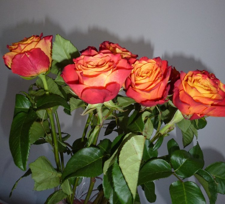 Живые цветы и куклы! С наступающим праздником (фото 6)