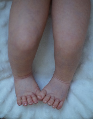 Ливия и Линдея. Куклы реборн Наталии Коноваловой