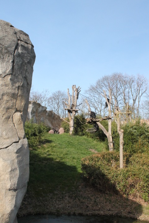 По Германии: зоопарк Лейпцига, часть 1