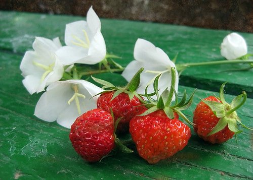Ключи от лета или Полевица. Коллекционная кукла Элизы Глазгольд