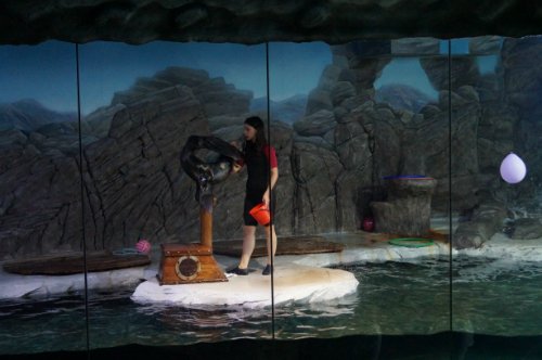 Воронежский океанариум — Туризм и путешествия: фотоотчеты из поездок