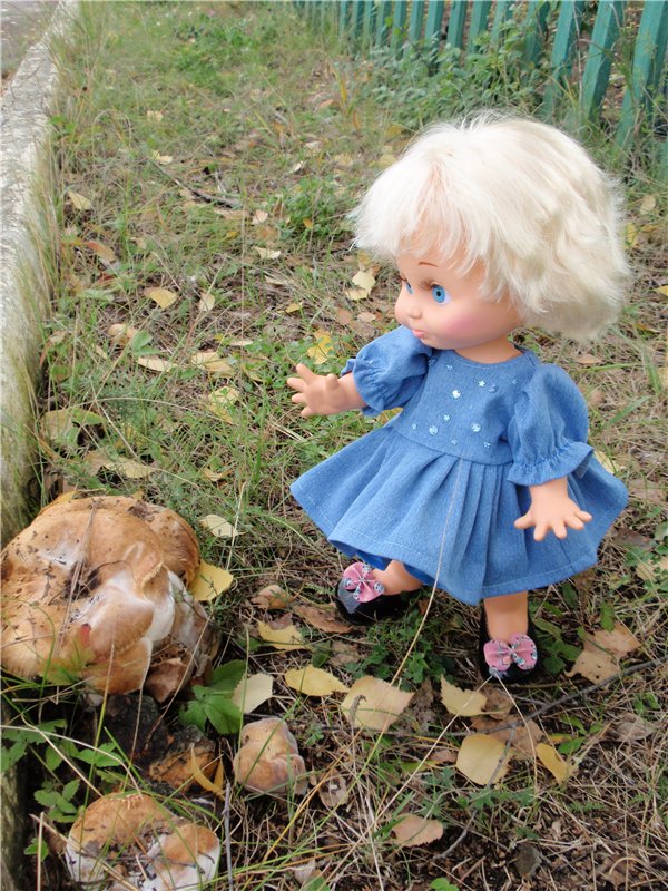 Осенняя прогулка | Бэйбики Осенняя прогулка — Одежда и обувь для кукол своими руками: фото (фото 4)