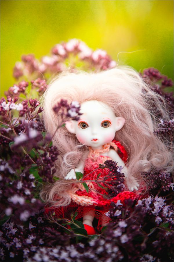 Немного лета на закате — Куклы Peaks Woods (Пиксвудс): BJD (БЖД) (фото 7)