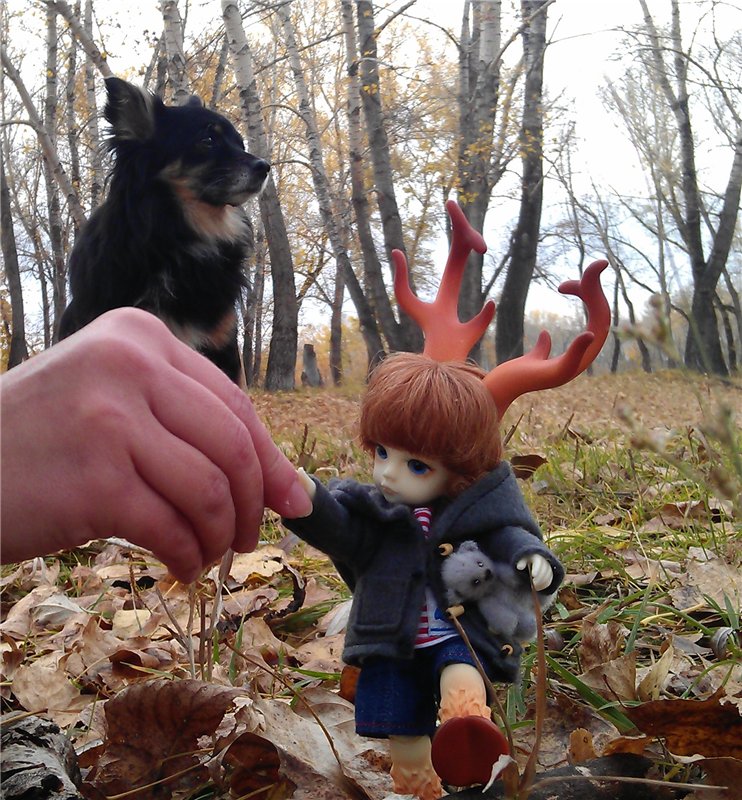 День нашего Дейви — Куклы Dollzone (Доллзон): BJD (БЖД)