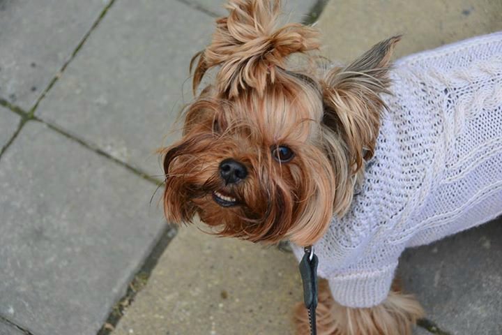 Весеннее обновление. Платья для кукол Kaye Wiggs