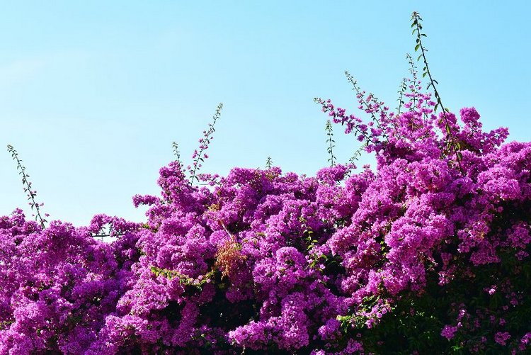 Ницца, Марсель, море и горы