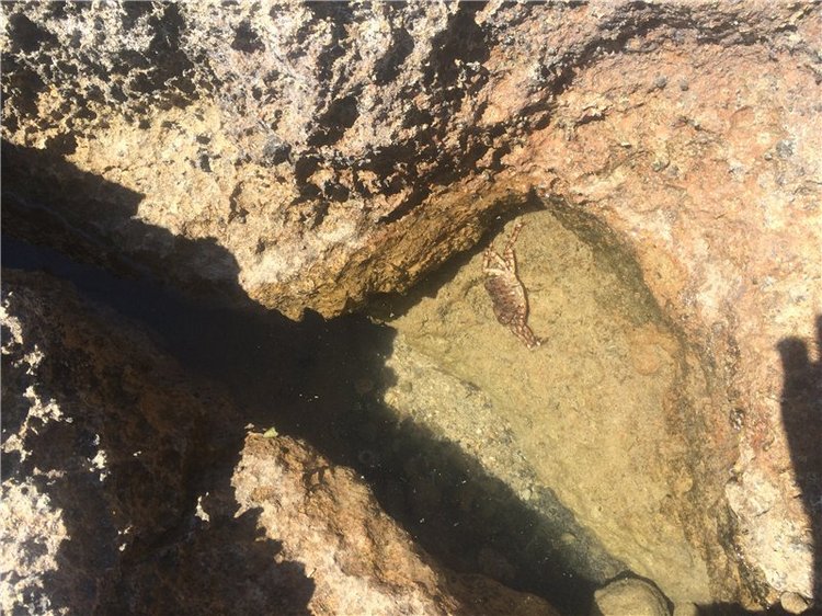 Путешествие в Грецию на о.Крит (Часть 1) | Бэйбики Путешествие в Грецию на о.Крит (Часть 1) (фото 10)