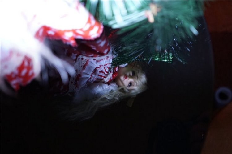 Еще одна Красная Шапочка — Куклы Iplehouse (Иплхаус): BJD (БЖД) (фото 9)