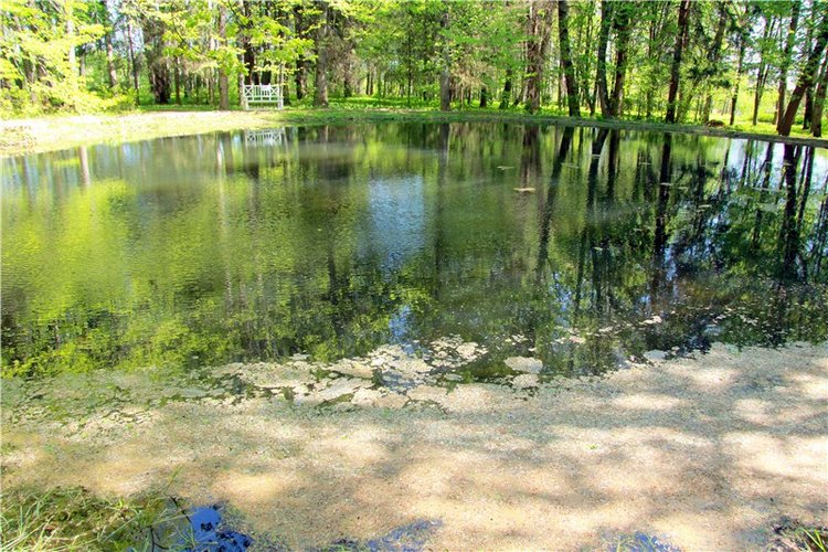 Субботний вояж. Третья часть | Бэйбики Субботний вояж. Третья часть (фото 2)