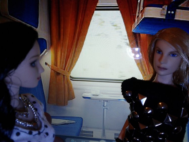 Зимнее солнце. Глава 1. Сказочный поезд