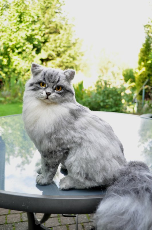 Калейдоскоп моих кукол. Часть 3