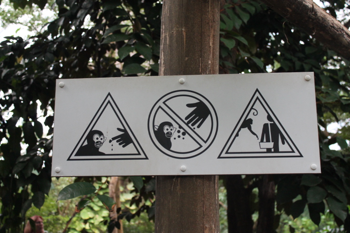 По Германии: зоопарк Лейпцига, часть 2