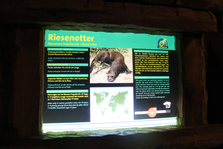 По Германии: зоопарк Лейпцига, часть 2