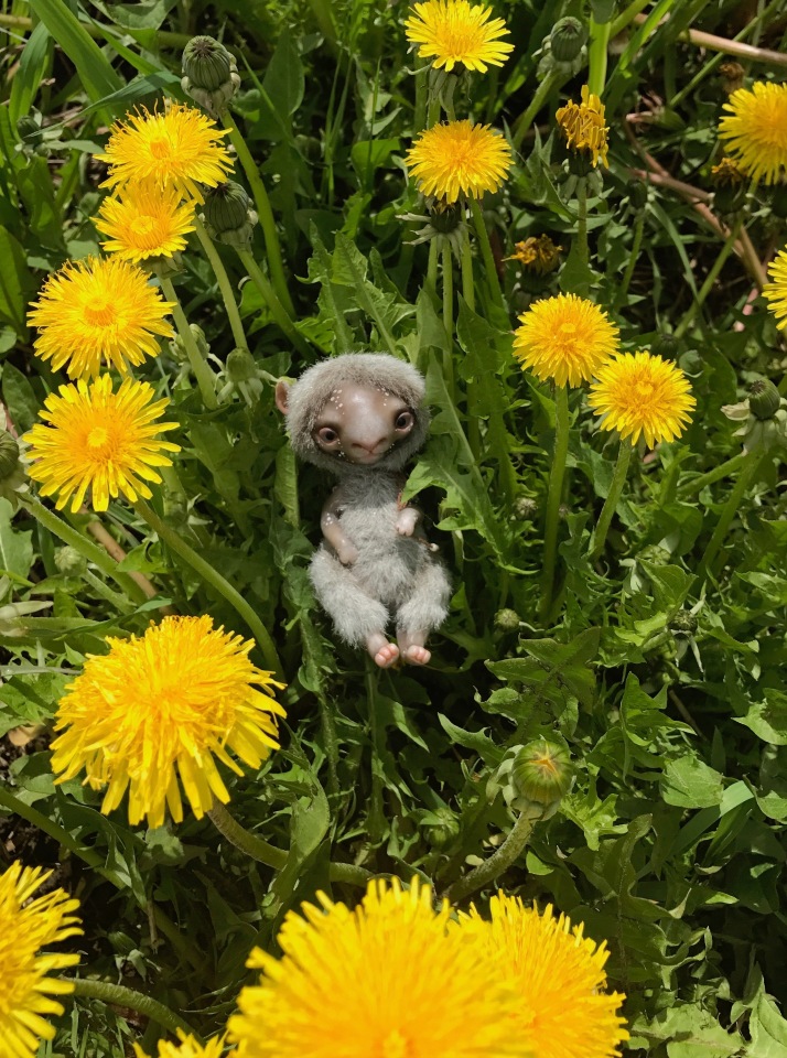 Это топик ЕРАЛАШ — Болталка и разговоры обо всем: жизнь