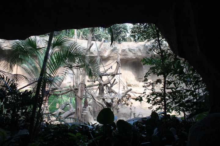 По Германии: зоопарк Лейпцига, часть 1