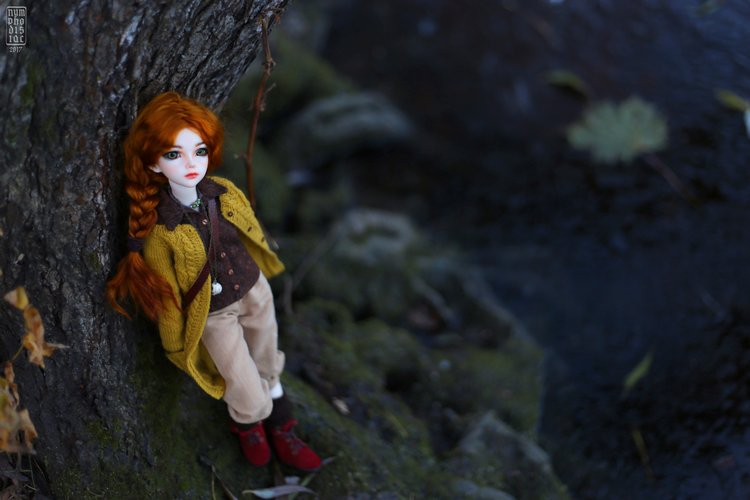 Мирвен в парке в последние дни осени (фото 8)