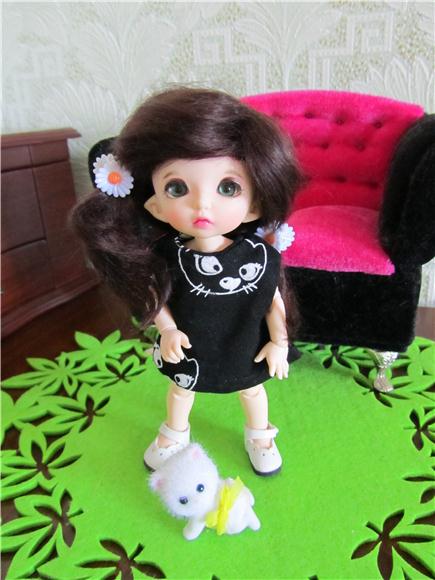 Маленькая история про маленького котенка