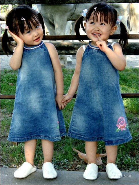 "Но как же вы могли так раздвоиться? Две половинки яблока различней." Близнецы от Кристин Оранж