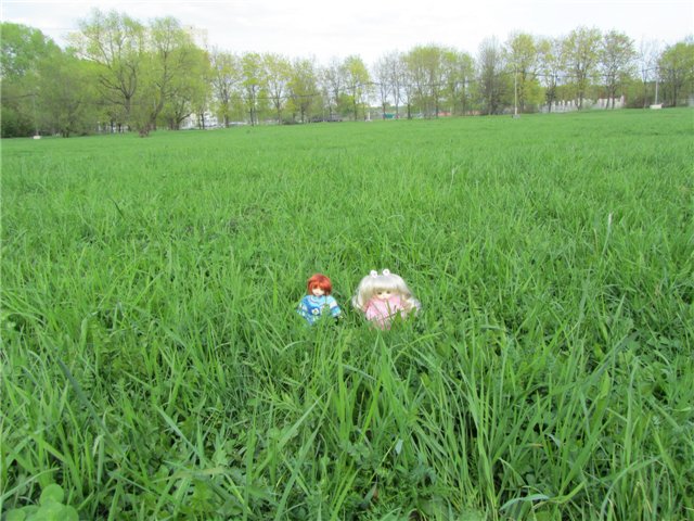 Весенний день... или как девочки ходили на пикник.№1