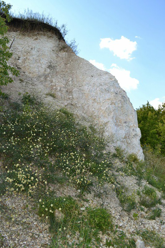 Белые горы Белогорья — Туризм и путешествия: фотоотчеты из поездок (фото 2)